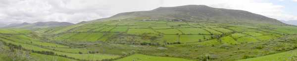 Dingle
