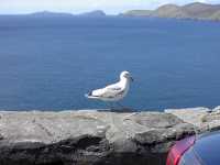 An Lands end