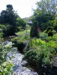 Dingle Town