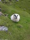 PICT4118 * Gap of Dunloe * 338 x 450 * (22KB)
