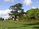 PICT4162 * Muckross Garden * 1600 x 1200 * (476KB)