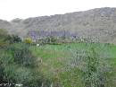 PICT4210 * Staigue Stonefort * 1600 x 1200 * (510KB)