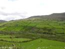 PICT4250 * Dingle-Tour * 1600 x 1200 * (339KB)