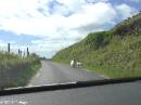 PICT4260 * Dingle-Tour * 1600 x 1200 * (353KB)