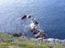 PICT4265 * Dingle-Tour * 1600 x 1200 * (664KB)