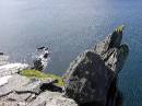 PICT4278 * Dingle-Tour * 1600 x 1200 * (519KB)