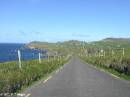 PICT4286 * Dingle-Tour * 1600 x 1200 * (354KB)